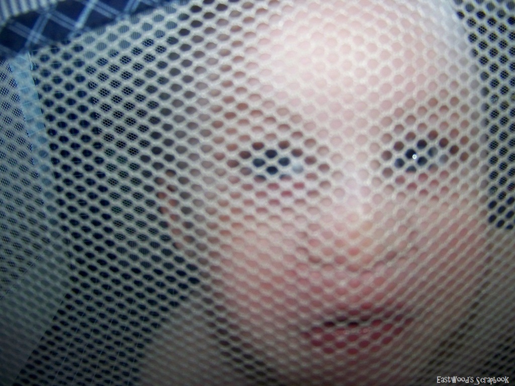 [net%2520face%255B12%255D.jpg]