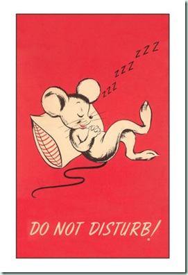 do-not-disturb-sleeping