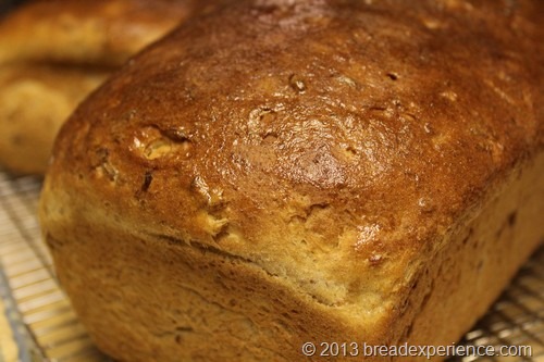 sprouted-rye-spelt-bread_27