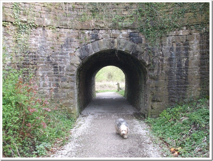 DSCF0584 Horse tunnel under Junction