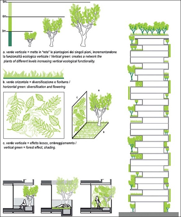 First-Vertical-Forest-06 First-Vertical-Forest-06