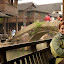 Wuzhen