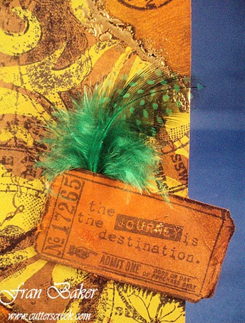 Ticket and Feather View