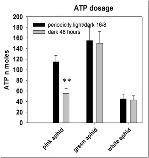 ATP_dosage