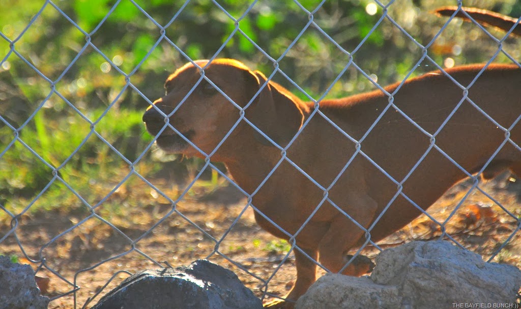 [DSC_0001%255B11%255D.jpg]