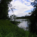 Vieux Rhône à Irigny en  aval réserve de Pierre-Bénite photo #1141