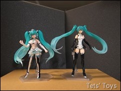 RacingMiku2012 (62)