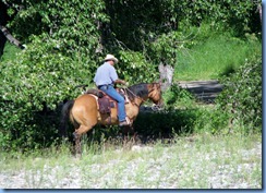 1303 Alberta Red Rock Parkway - Waterton Lakes National Park - horseback riders