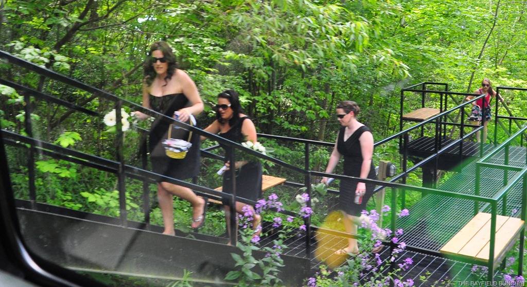 [DSC_0042%255B3%255D.jpg]