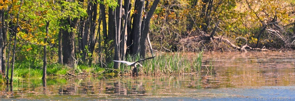 [DSC_0028%255B4%255D.jpg]