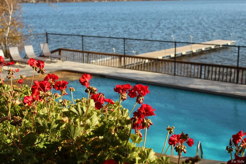 [Flowers%2520and%2520pool%2520and%2520the%2520lake%255B8%255D.jpg]