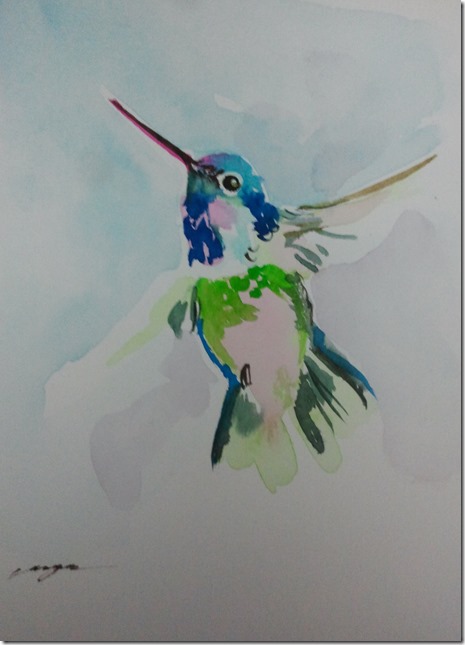 hummingbird free