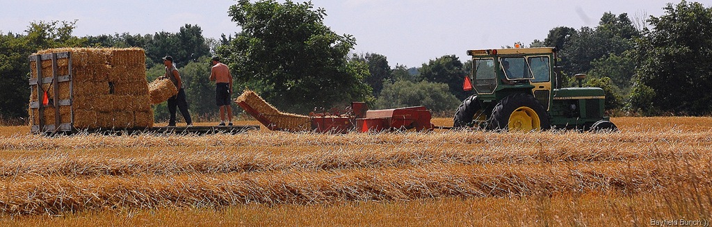 [DSC_4145%255B3%255D.jpg]