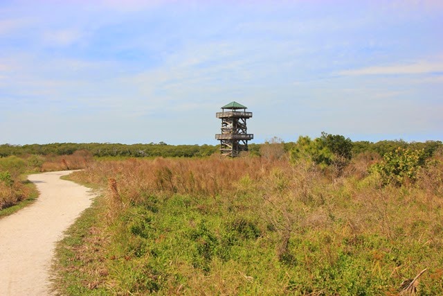 Robinson Preserve Observation Tower