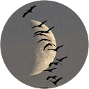 Image Google de NOELLE DIGET