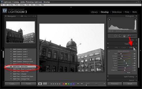 BW_Blue_filter