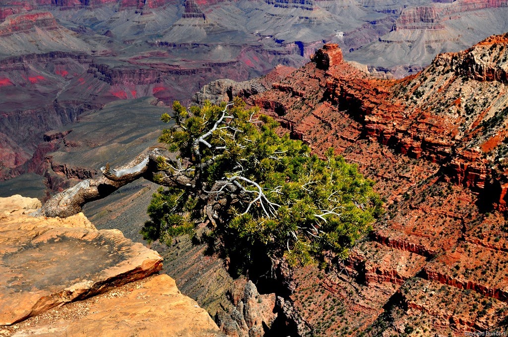 [DSC_0101%255B13%255D.jpg]