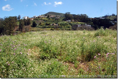 5472 La Laguna-Vueltas Acero-Firgas 5472 La Laguna-Vueltas Acero-Firgas