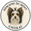 Image Google de Barbuski Joel