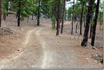 6908 Circular Cruz Grande(Pista a Pilancones) 6908 Circular Cruz Grande(Pista a Pilancones)
