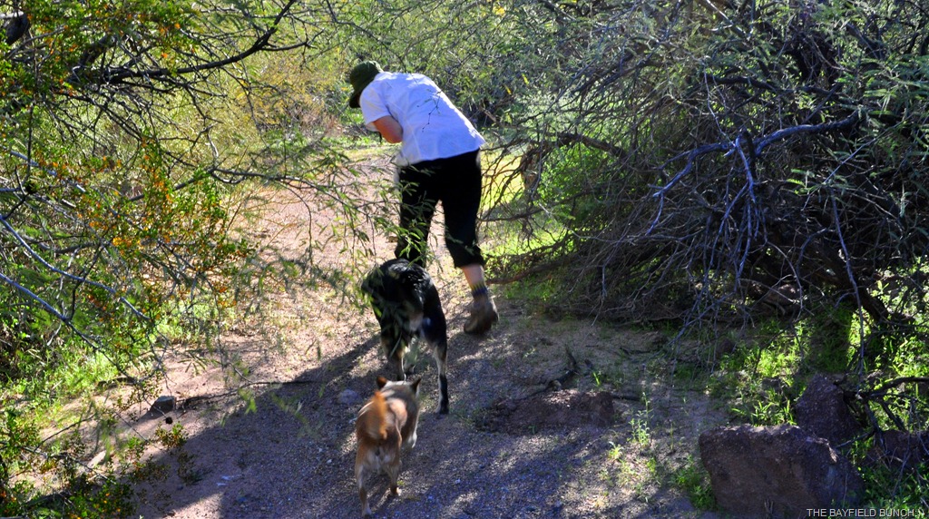 [DSC_0014%255B4%255D.jpg]