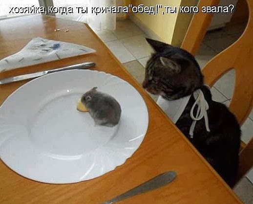 [080279e35c47e7fd7127f1164cd_prev%255B4%255D.jpg]