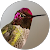 Chery Brummett Chery Brummett