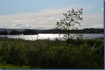 DSC_0150 DSC_0150