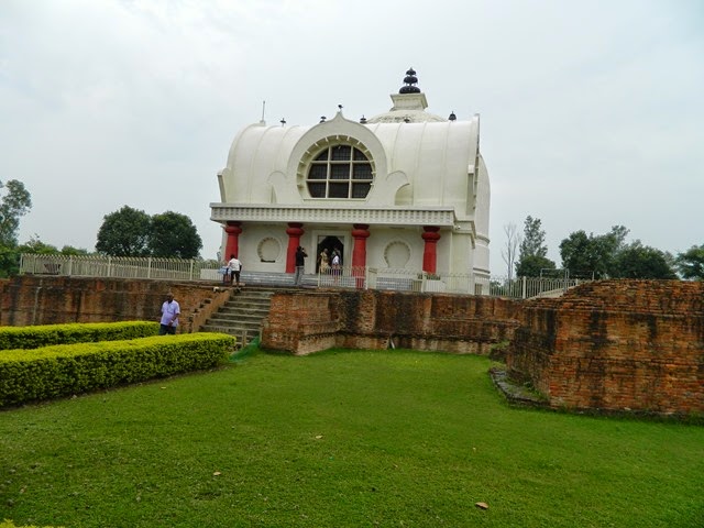 DSCN2175 DSCN2175