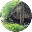 ג'סיקה שלום profile picture