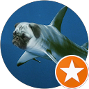 Jules G.,LocalServices