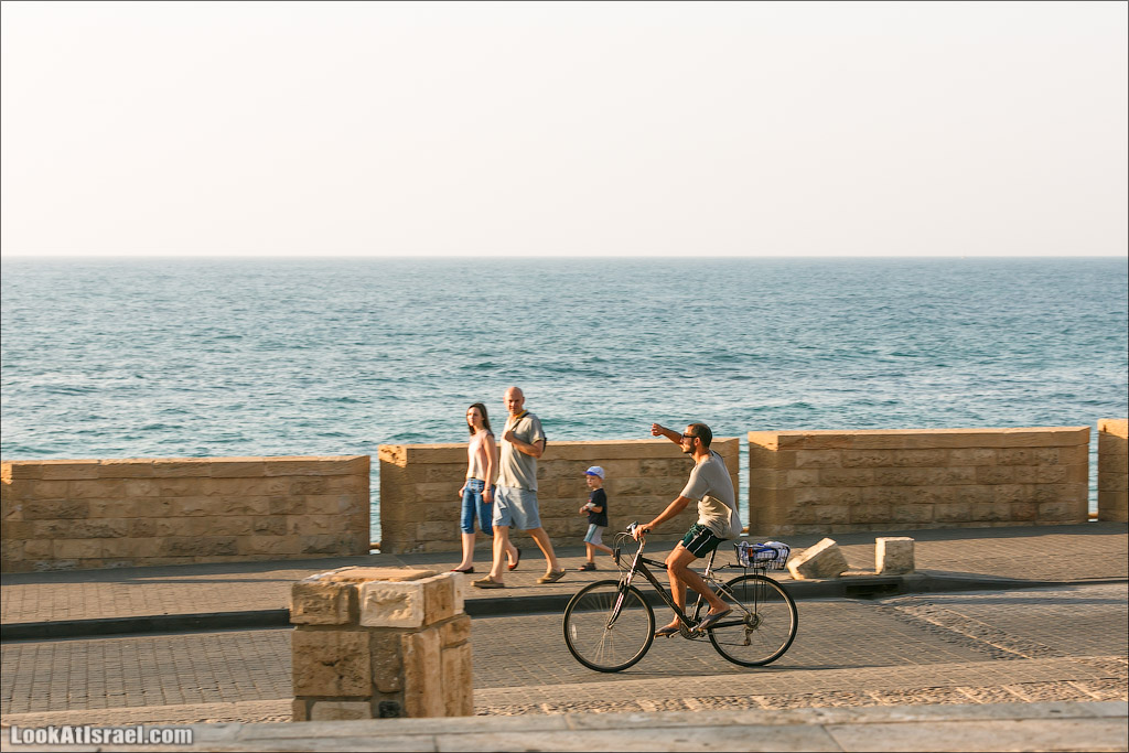 Все интересное с улиц Тель Авива. LookAtIsrael.com - Фото путешествия по Израилю
