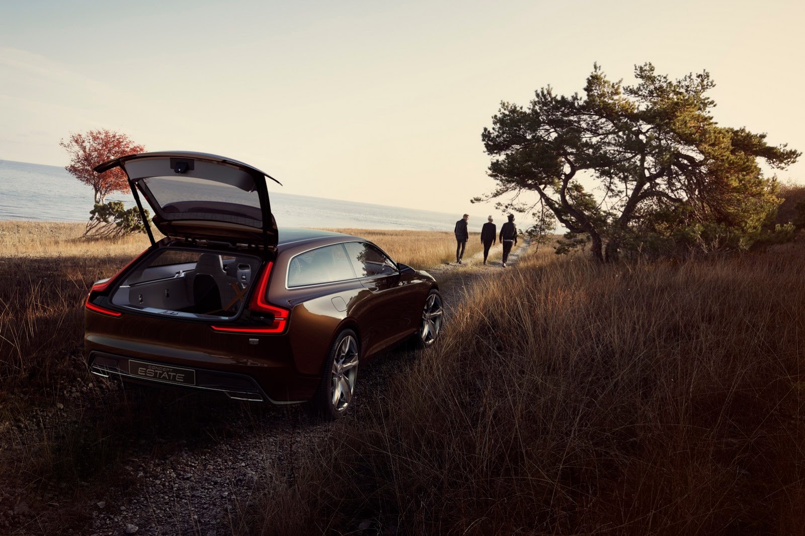 [Volvo-Concept-Estate-3%255B2%255D.jpg]