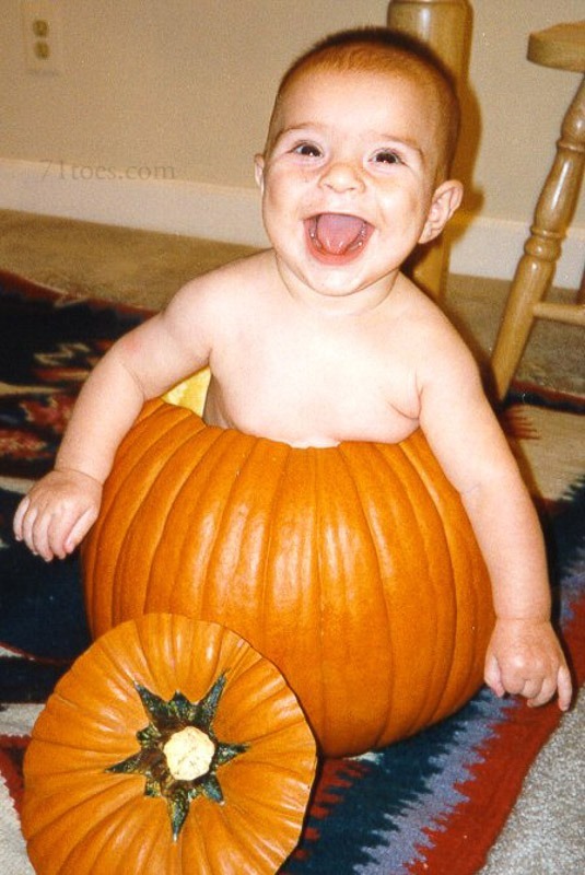 Pumpkin Pumpkin