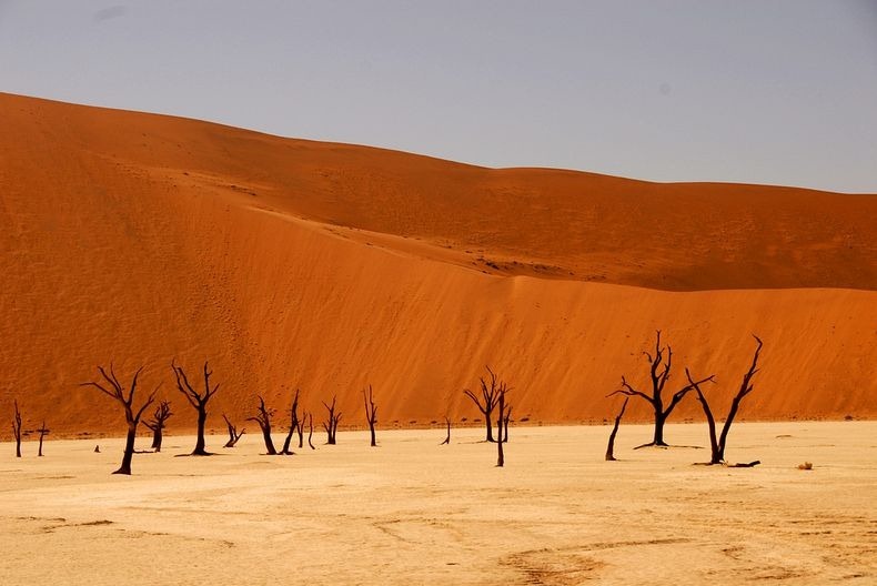 Surrealistic Landscape Of Deadvlei Namibia Amusing Planet