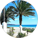 Image Google de Laura Sintes