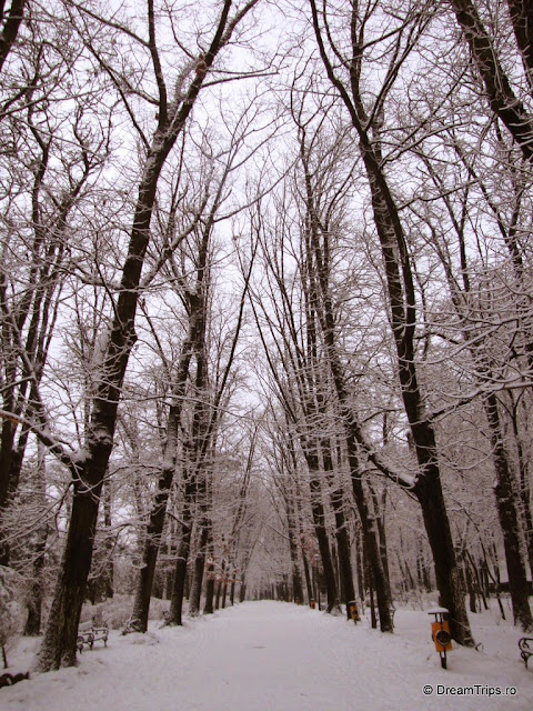 Iarna în București