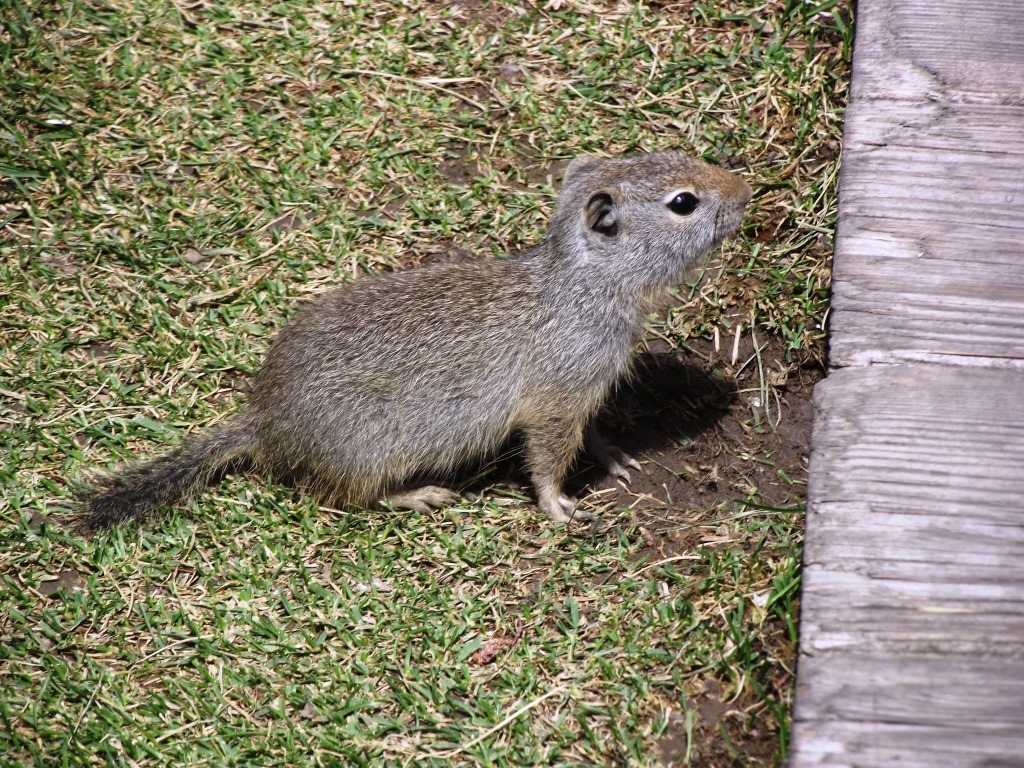 [DSCF9461%2520-%2520Kopie%255B4%255D.jpg]