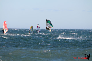 20150104_La franqui125.JPG
