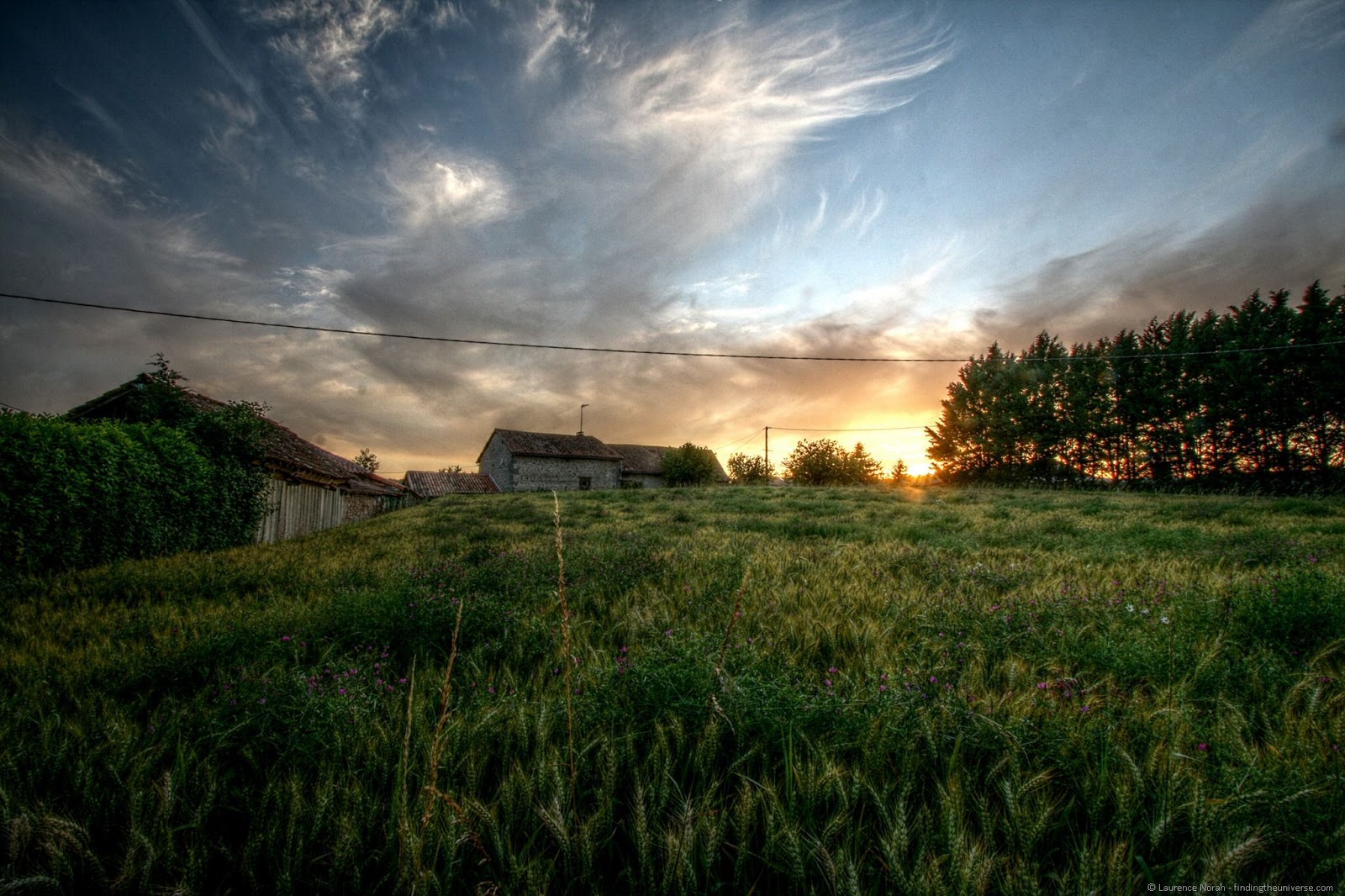 [Wheatfield-sunset-France2.jpg]