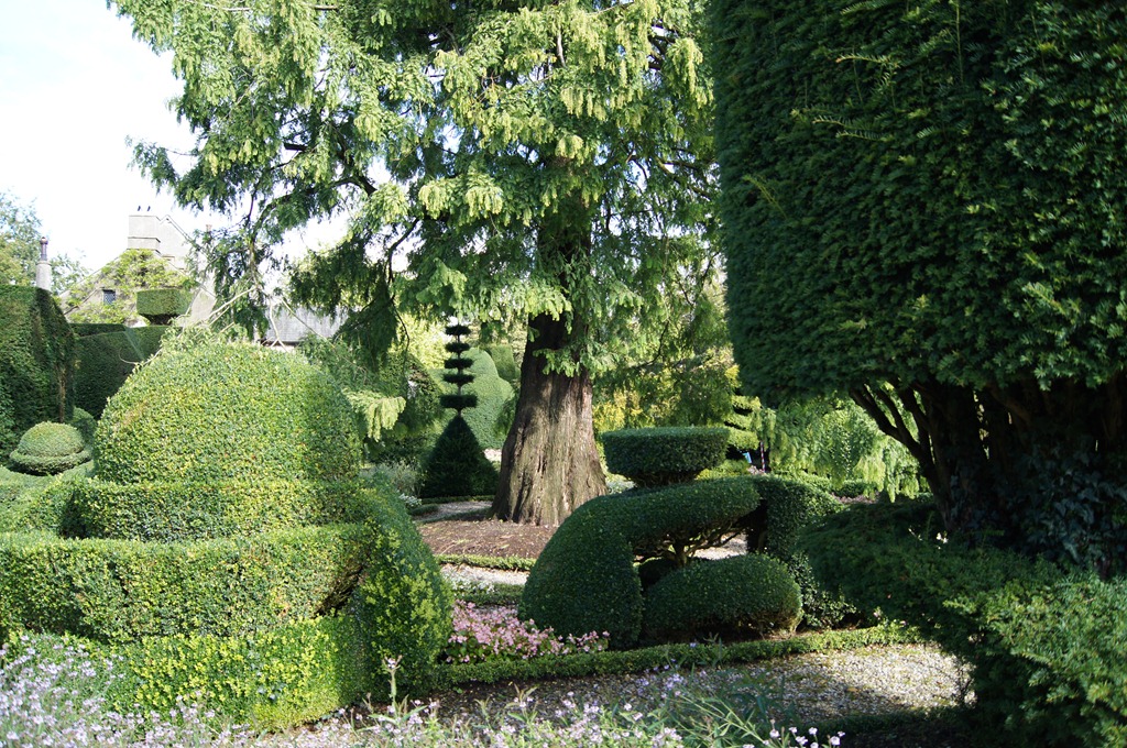 [Levens-Hall-topiary-13.jpg]