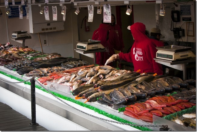 Main Avenue Fish Market-2