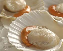 [scallop-raw4.png]