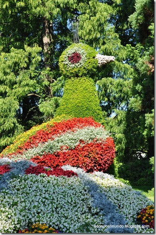 17-Mainau (Isla de las Flores). Pavo Real de Flores - DSC_0401