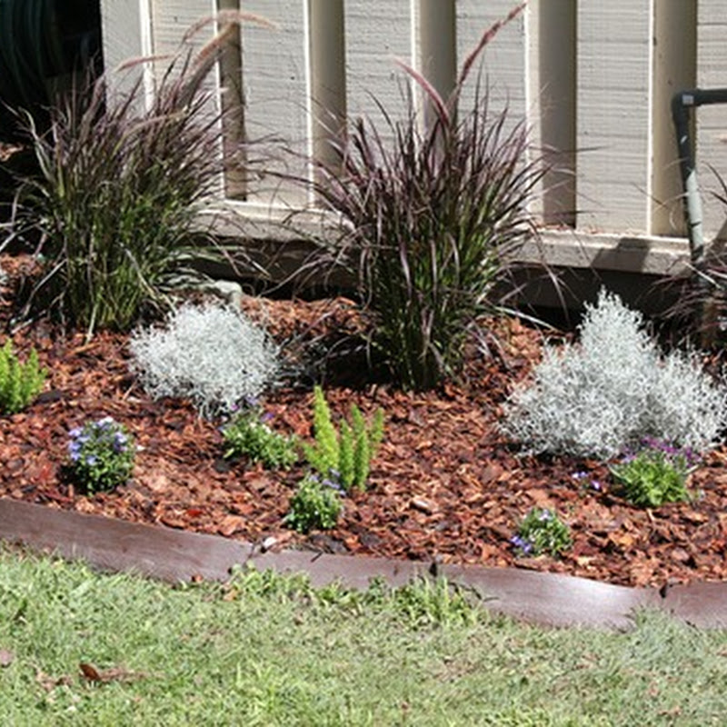 Quick Curb Appeal Project
