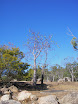Bowen_004.JPG
