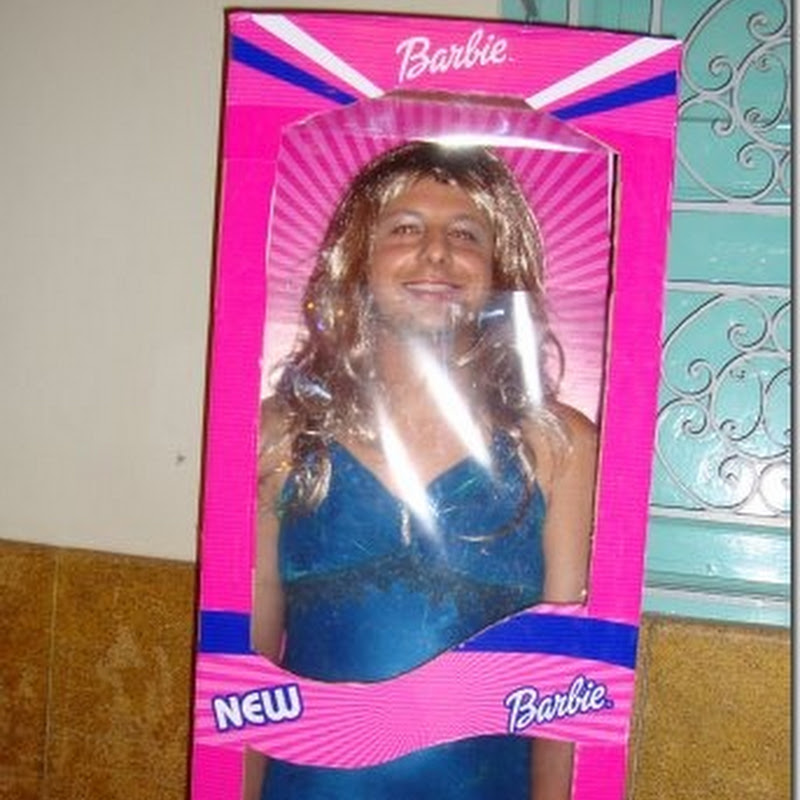 fotos de los lectores, disfraz Barbie en caja