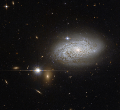 NGC 3021