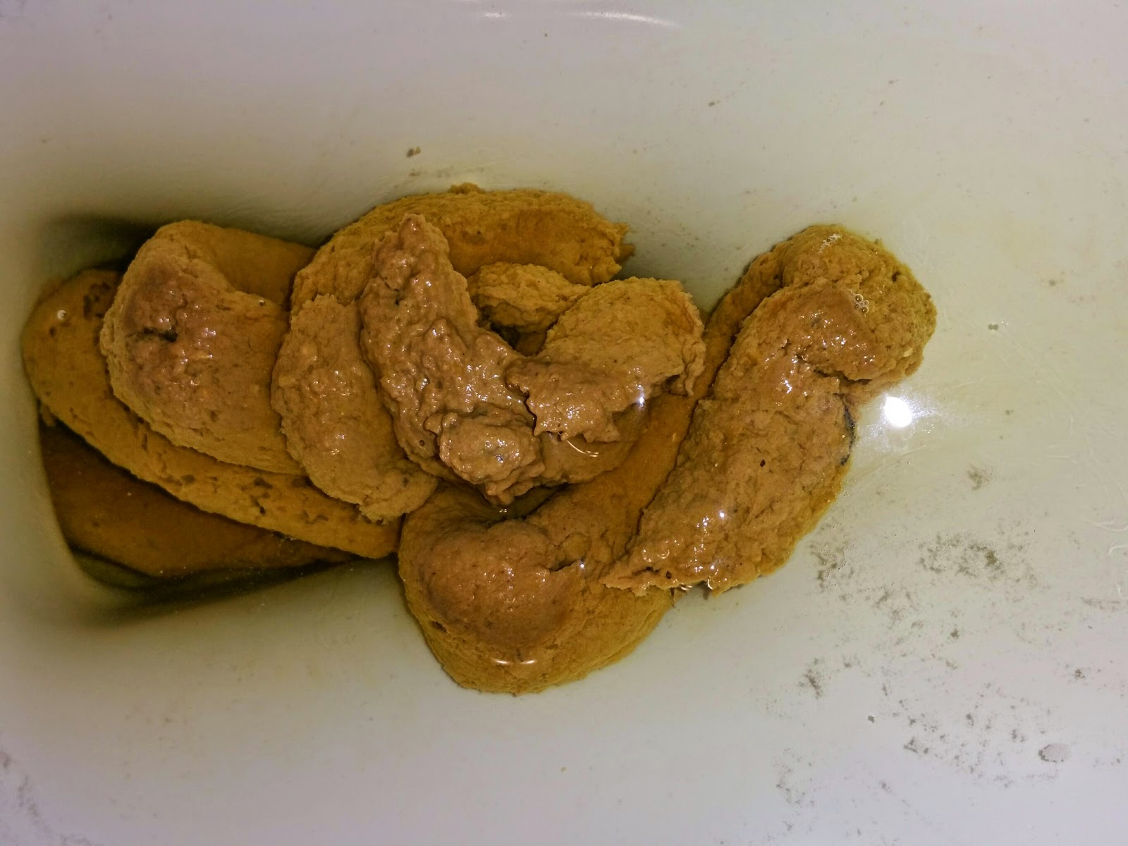 My Daily Poo February 2015 my-daily-poo-february-2015
