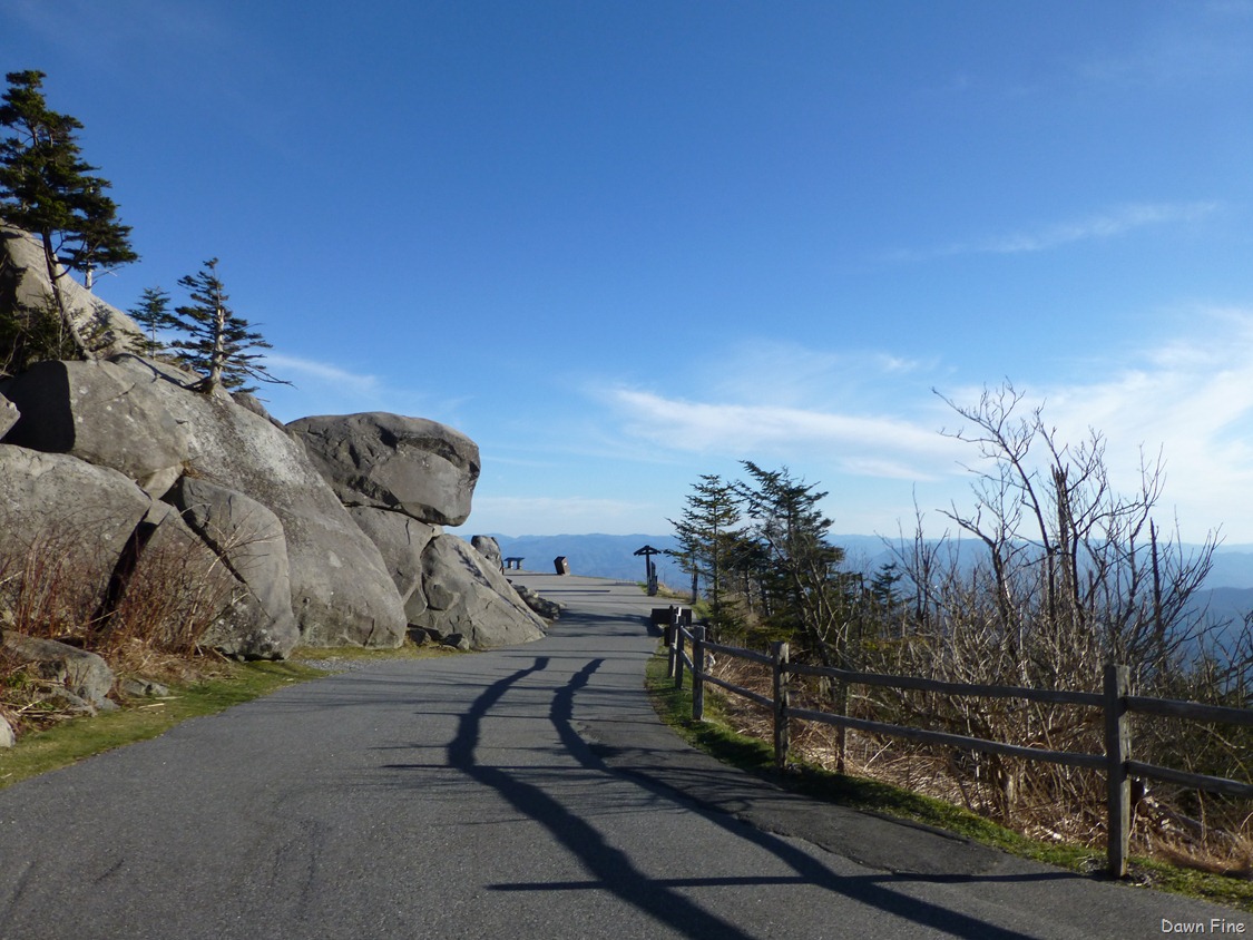 [Clingmans%2520dome_036%255B3%255D.jpg]